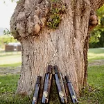 La Vecchia Quercia Lantgård Montemerano