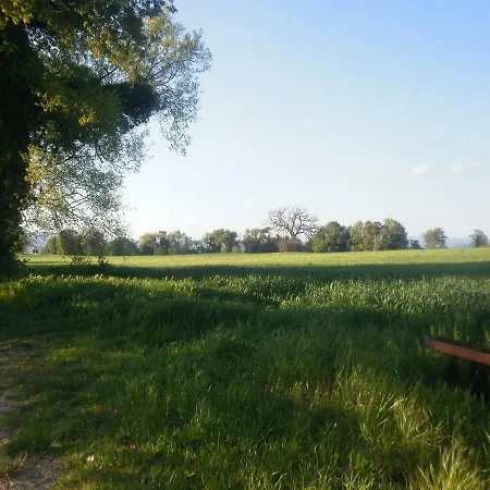 La Vecchia Quercia *