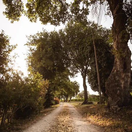 팜스테이 La Vecchia Quercia