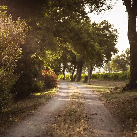 La Vecchia Quercia 팜스테이 *