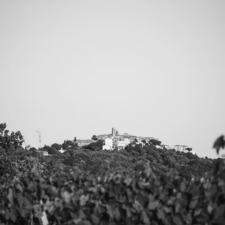 La Vecchia Quercia 팜스테이 몬테메라노