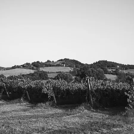La Vecchia Quercia