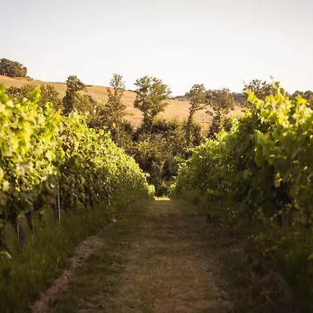 La Vecchia Quercia 팜스테이
