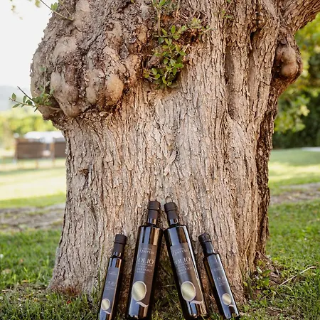 La Vecchia Quercia Agroturismo Montemerano